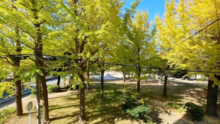 BusinessCentreNagoya Matsubara｜松原公園の景色